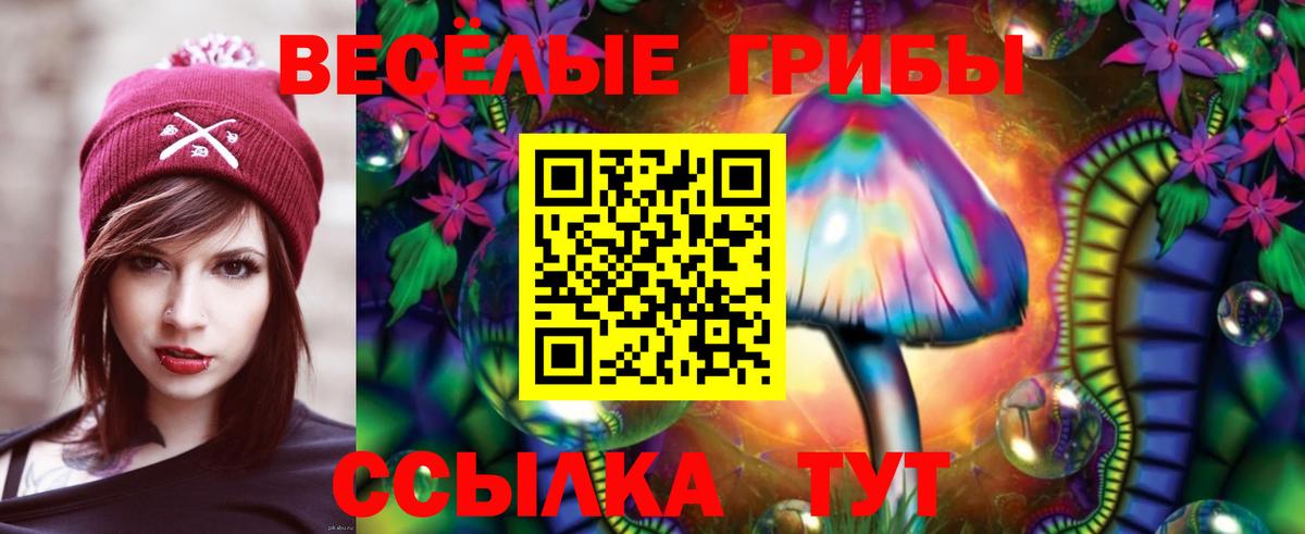 Калининград  Галлюциногенные грибы Psilocybe  Вход с VPN 