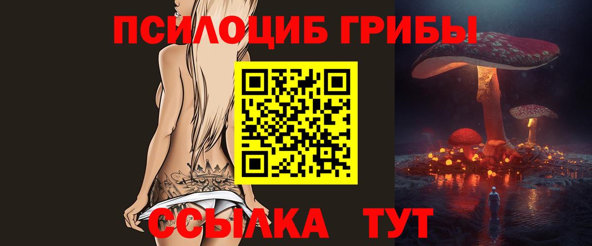 Псилоцибиновые грибы Magic Shrooms Калининград